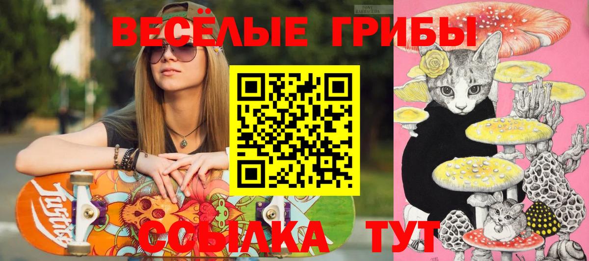 Качканар  Псилоцибиновые грибы ЛСД  где купить наркотик  Вход с VPN 
